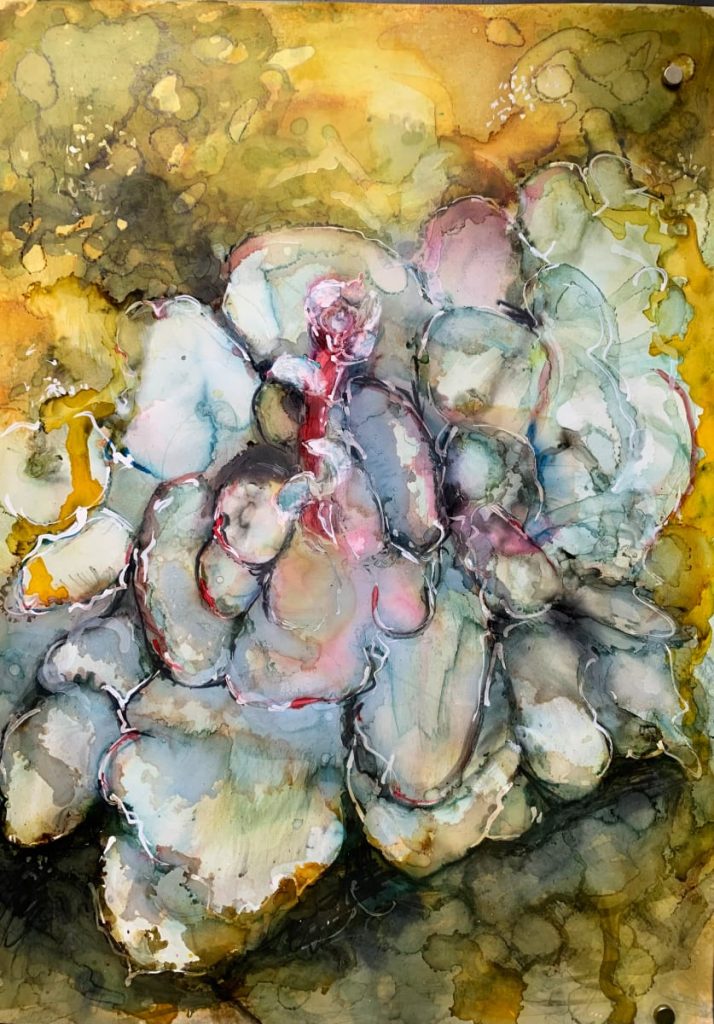 Succulence