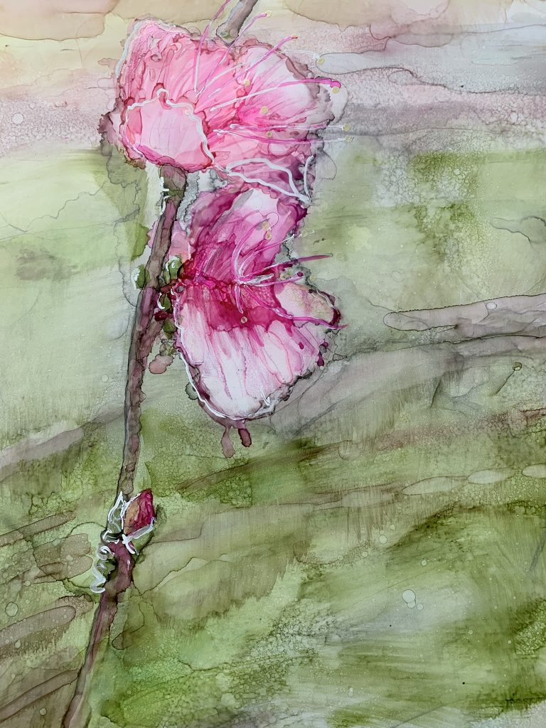 Apple Blossom