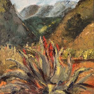 Warmth in the Swartberg Shadows