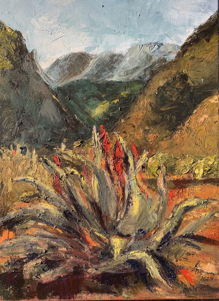 Warmth in the Swartberg Shadows